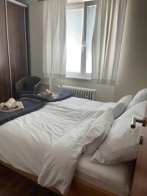 Priestranny 3 Izb. Apartman V Centre S Parkovanim. Banská Bystrica Exterior foto